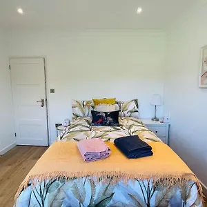 In A Beautiful House With Free On St Parking Homestay Brighton